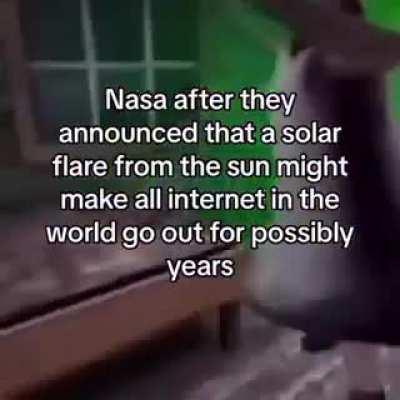 Can you guys help me find the song pleassse