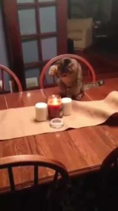 Perfectly calibrated punch 🤣