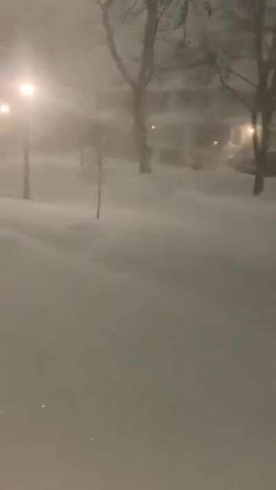 Why the fuck do we still live here?