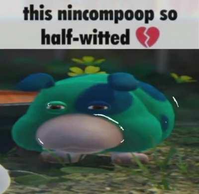 This nicompoop so slay✨