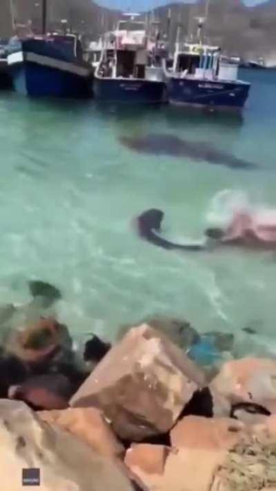 What the hell just happen?