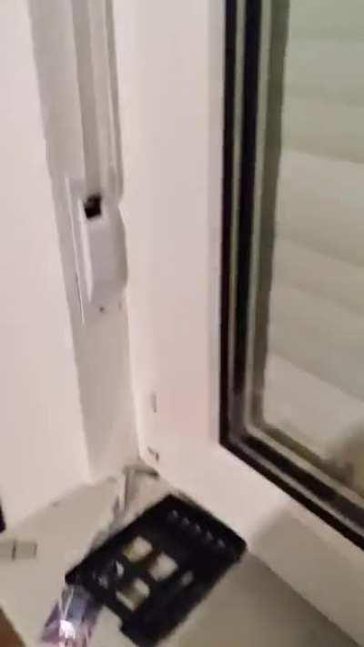 Heute morgen zu einem Rascheln am Fenster aufgewacht