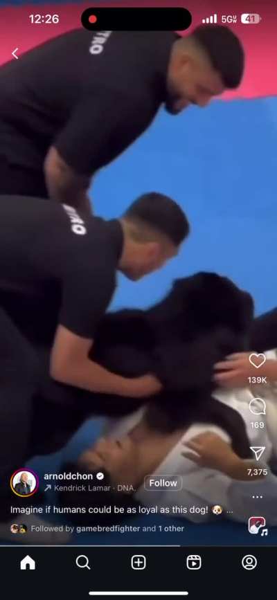 Dog said “we have to check dis moment”