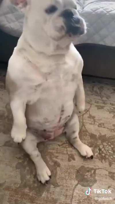 Dance like no one is watching