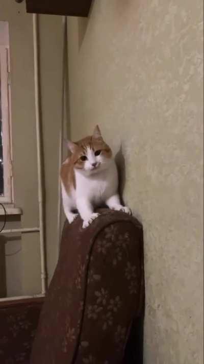 He is the definition of speed... And evil!