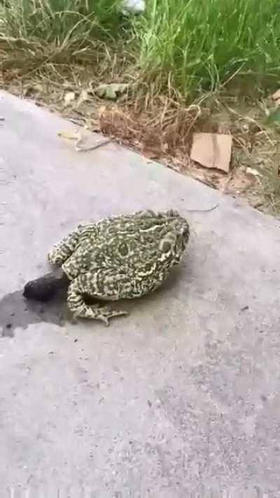 Одним вопросом 