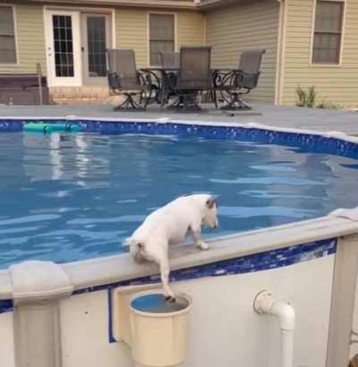 There’s got to be a better way to get out of the pool, but this is very creative.