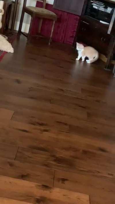 Greeble Hunter’s First Sighting