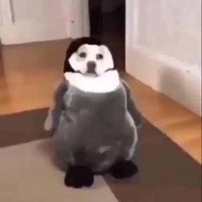 just this vid I think is funny