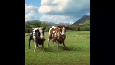 I’m 15 and this is yeet