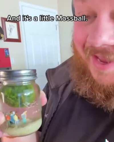 What’s you favorite tiny pointless item? :)