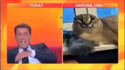 flop going global!!!