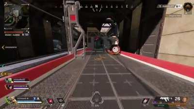 Bloodhound after a light treadmill day...”I am prepared for the fight.”