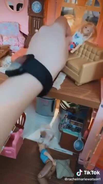 Cat steals girls doll!