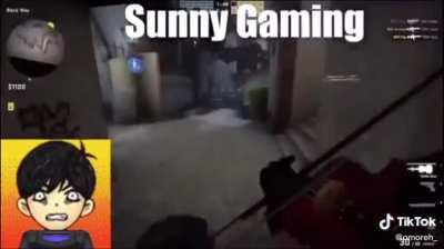 Sunny gaming