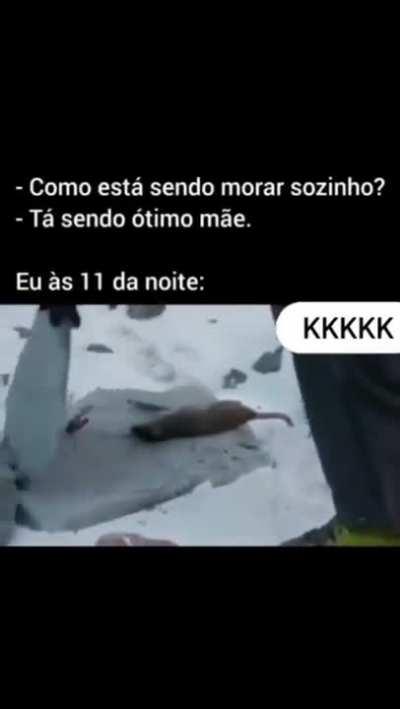Eu_nvr