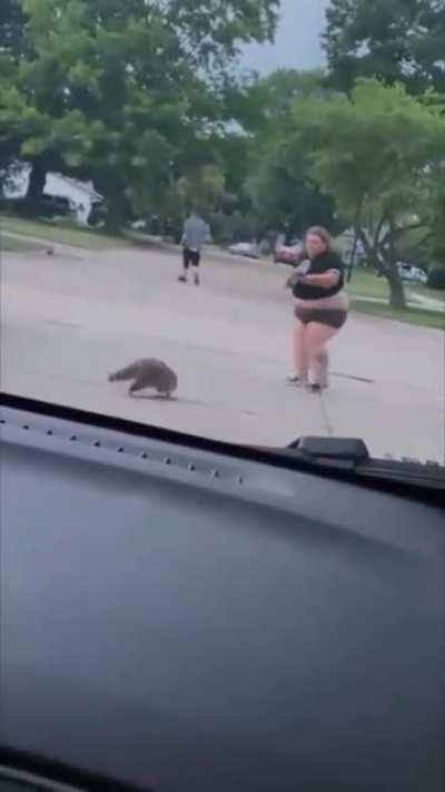 Vai mexer com o guaxinim