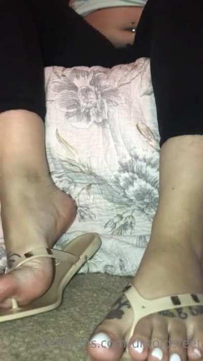 $DM me to get folders. Join telegram now in comments (sub could possibly go down)