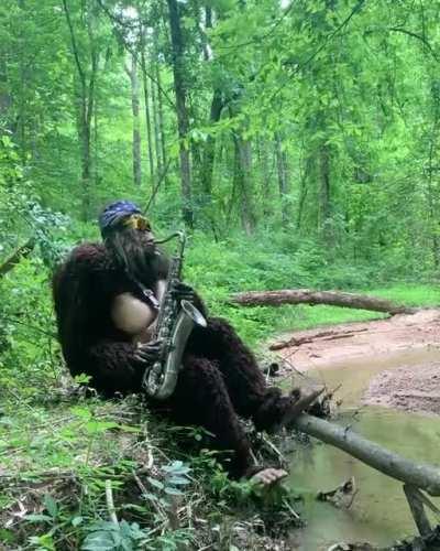 Lo pueden buscar como saxquacht