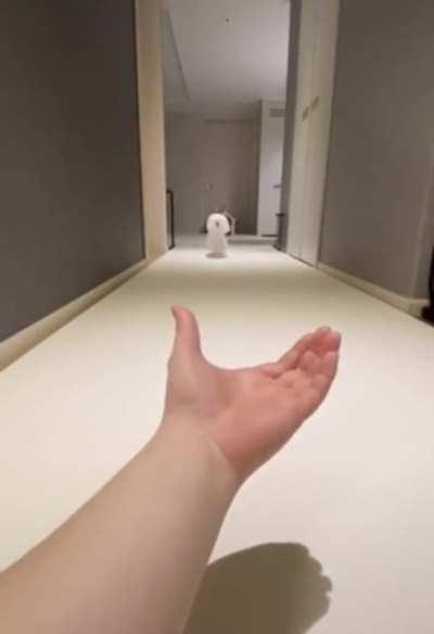 Floof nosedives through every target