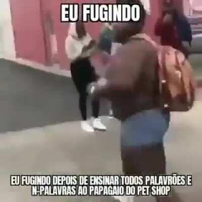 smurfdomuca - Video #1086