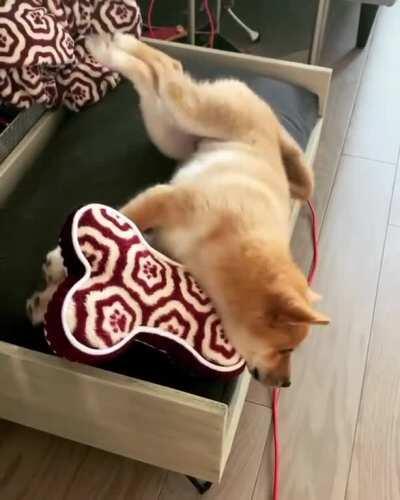 Might as well change his name to Derp