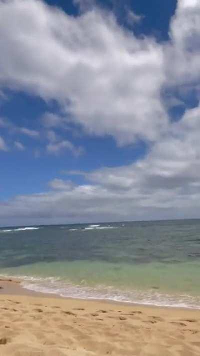 The things I like to do when you take me to the beach 🙈