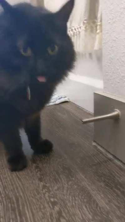 I had to take off the plastic cap because he kept chewing it off!