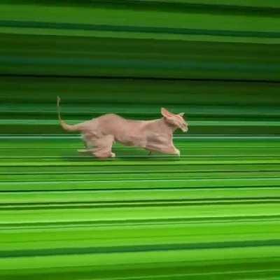 Four-dimensional space