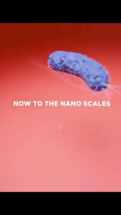 Size of a nano transistor