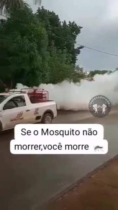 Previna-se contra a dengue! 