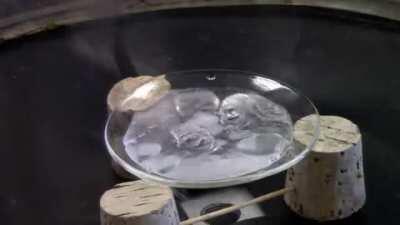 At a specific pressure and temperature, water can be solid, liquid and gaseous at the same time