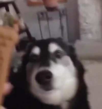 Will you be my valentine?