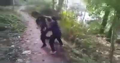 Luangameplay666 - Video #8512