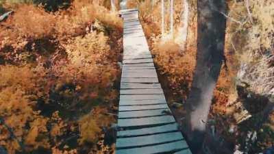 One of the coolest trails in the world-LYM-Kicking Horse Bike Park