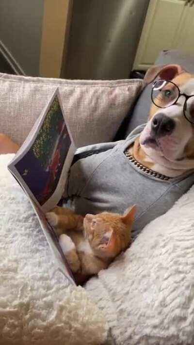 We all like both of you..