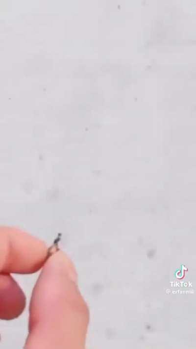 Biggest bro to littlest bro