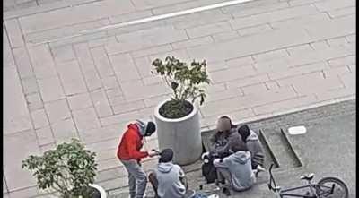 Skater Beats up Bully With a Gun