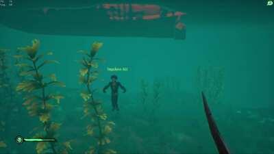 Got stuck on the squid dance emote. Hilarity ensues