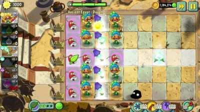 And here, we witness the annual Chili Bean Migration. Truly a sight to behold.