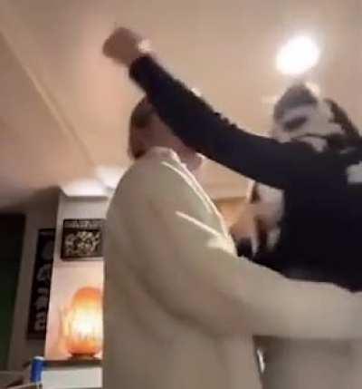 how to Hug a cat 101