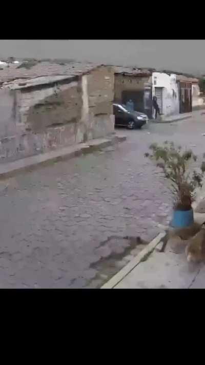 They took his pants.... 😆 🤣 😂 