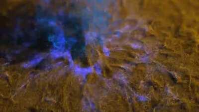 mr. Meesseks particles