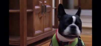 This is my new favourite clip of all time.