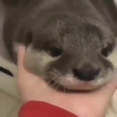 Got sent this from a friend on twitter when I was in a bad mood