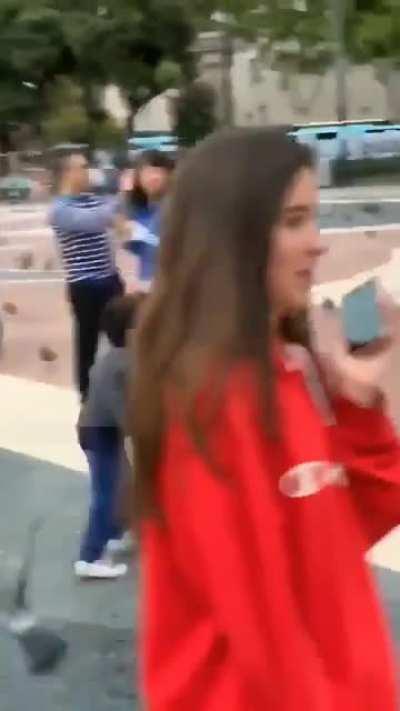 That's what pigeons are made for