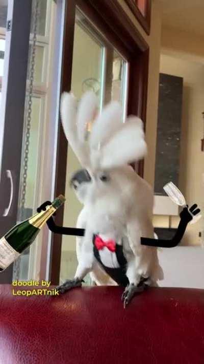 🥂To Another year 🥂(watch for the ending)