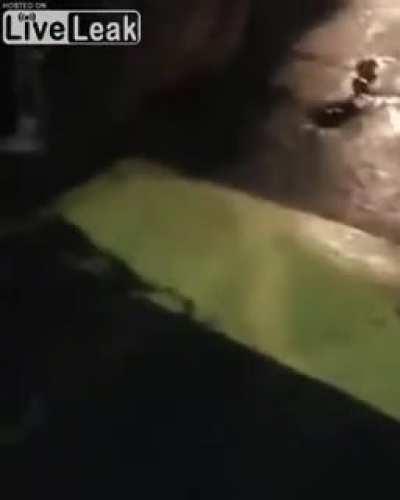 24 year old lady head stomped by a 17 year old girl