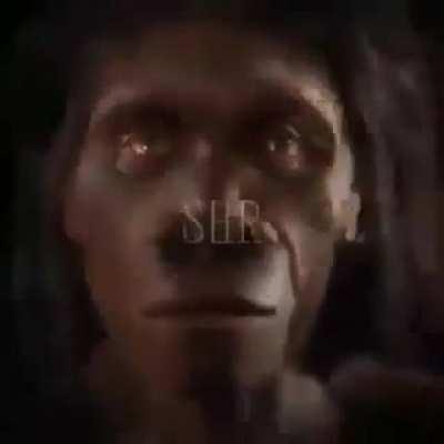 Monkiland Live action?