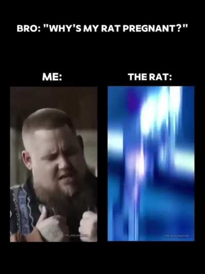 Oh shit! A rat!